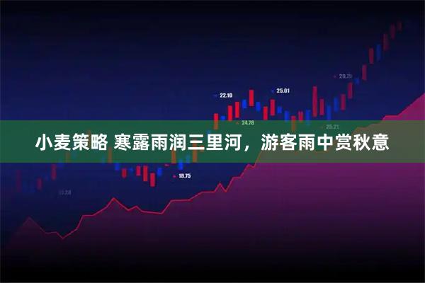 小麦策略 寒露雨润三里河，游客雨中赏秋意