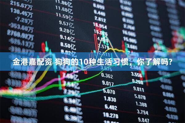 金港嘉配资 狗狗的10种生活习惯，你了解吗?
